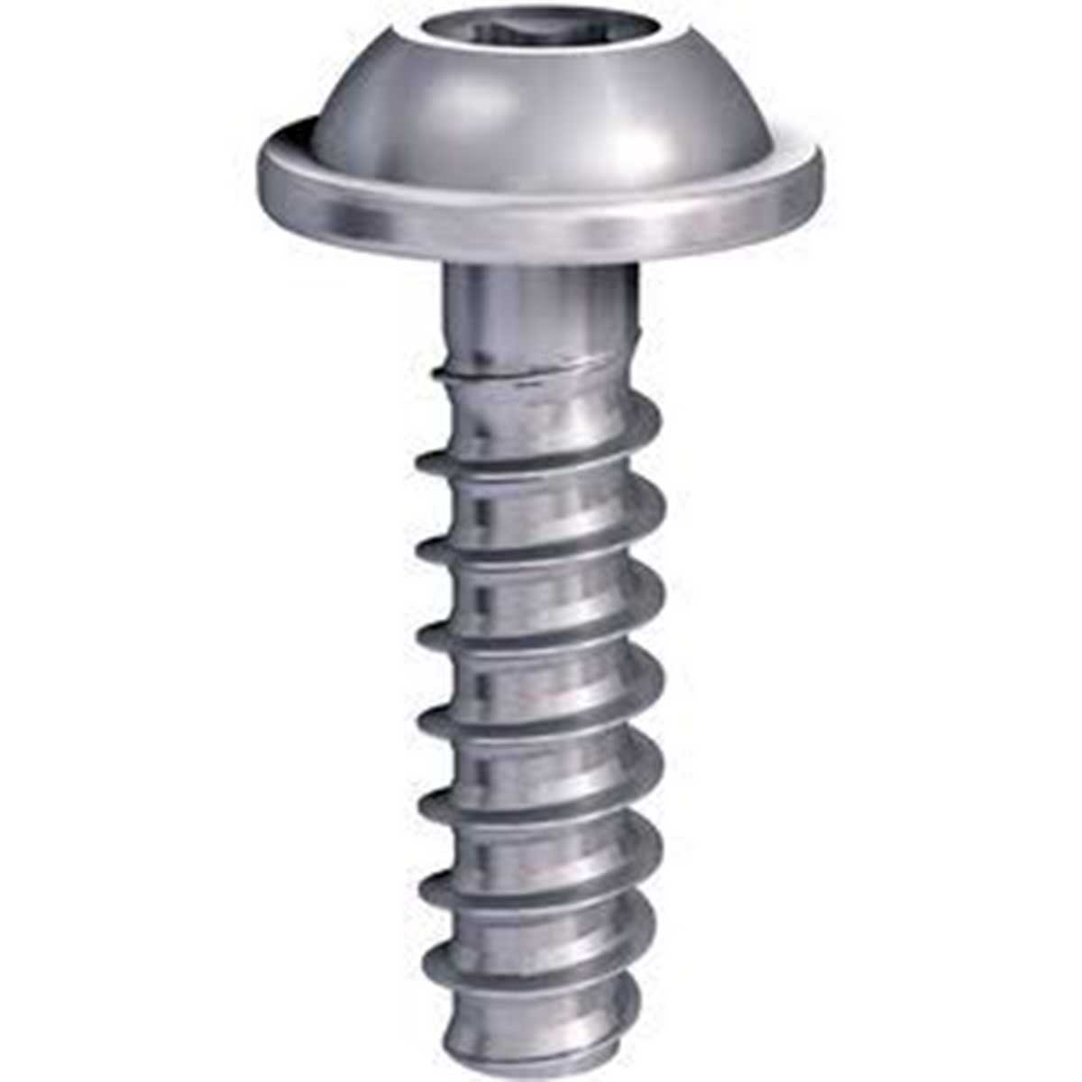 Self Tap Screws