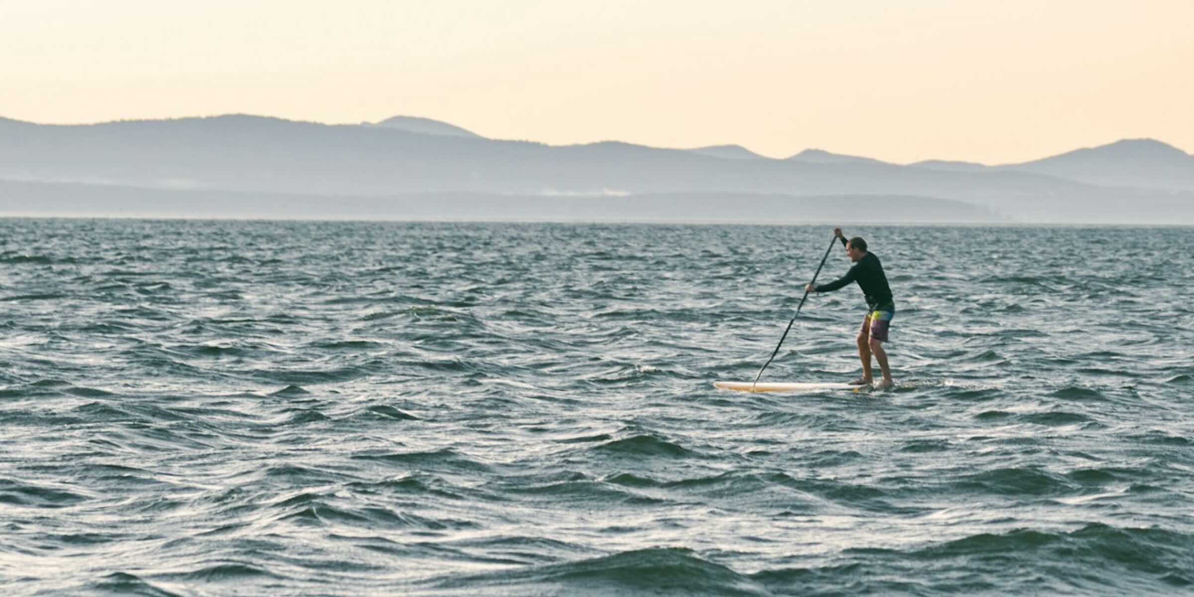 Paddles